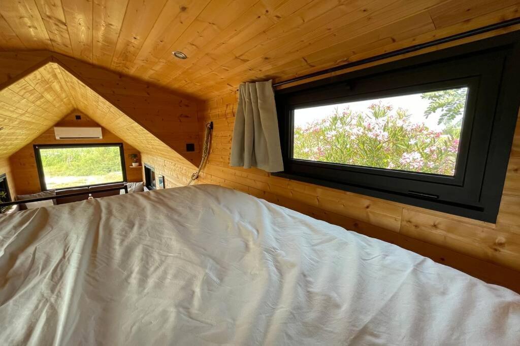 Myinsolite - Tiny-House, Jacuzzi, Brasero, Piscine Aigues-Mortes Luaran gambar