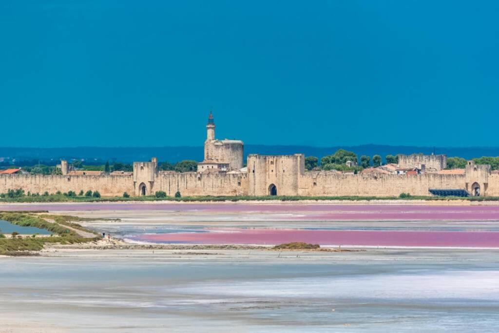 Myinsolite - Tiny-House, Jacuzzi, Brasero, Piscine Aigues-Mortes Luaran gambar