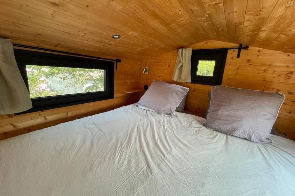 Myinsolite - Tiny-House, Jacuzzi, Brasero, Piscine Aigues-Mortes Luaran gambar