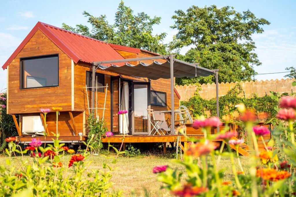 Myinsolite - Tiny-House, Jacuzzi, Brasero, Piscine Aigues-Mortes Luaran gambar
